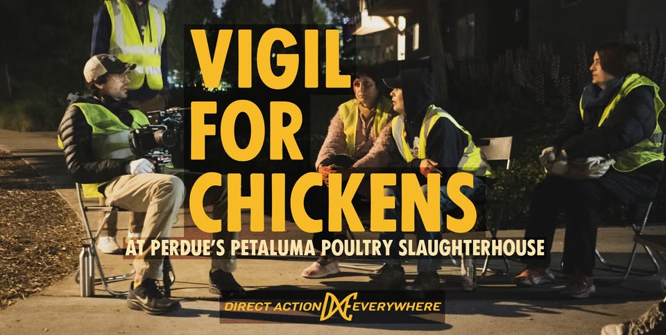 Direct Action Everywhere