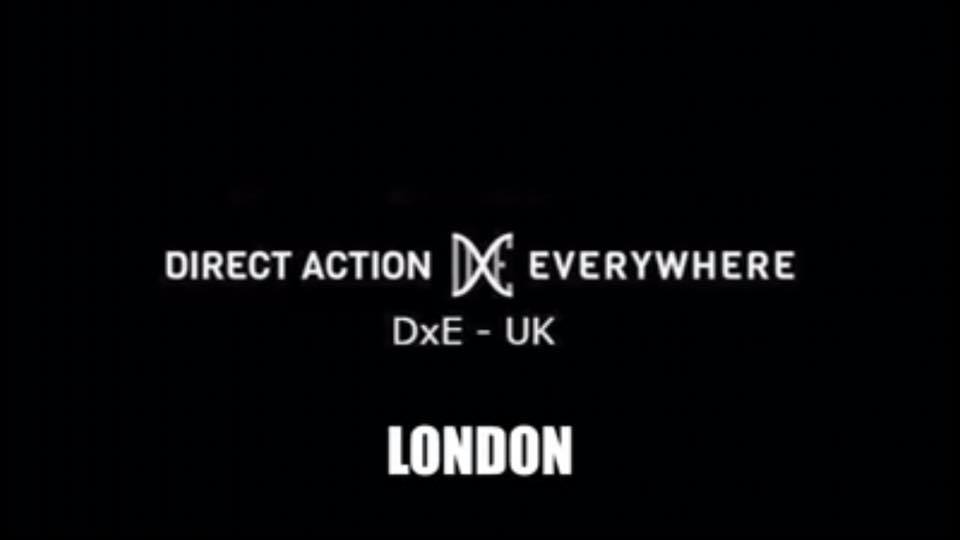 Direct Action Everywhere