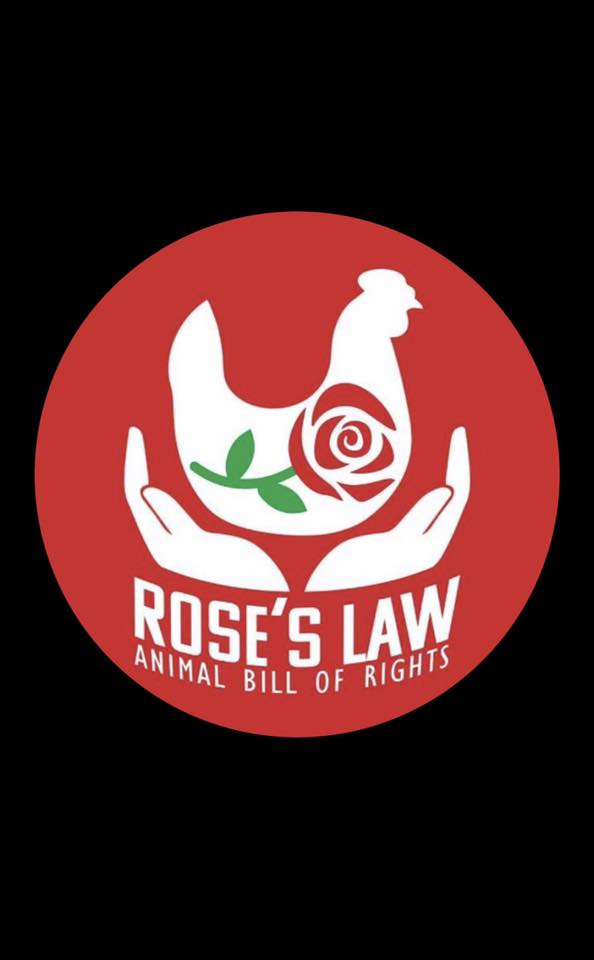 Direct Action Everywhere