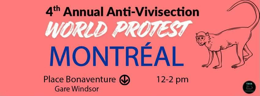 Direct Action Everywhere - DxE