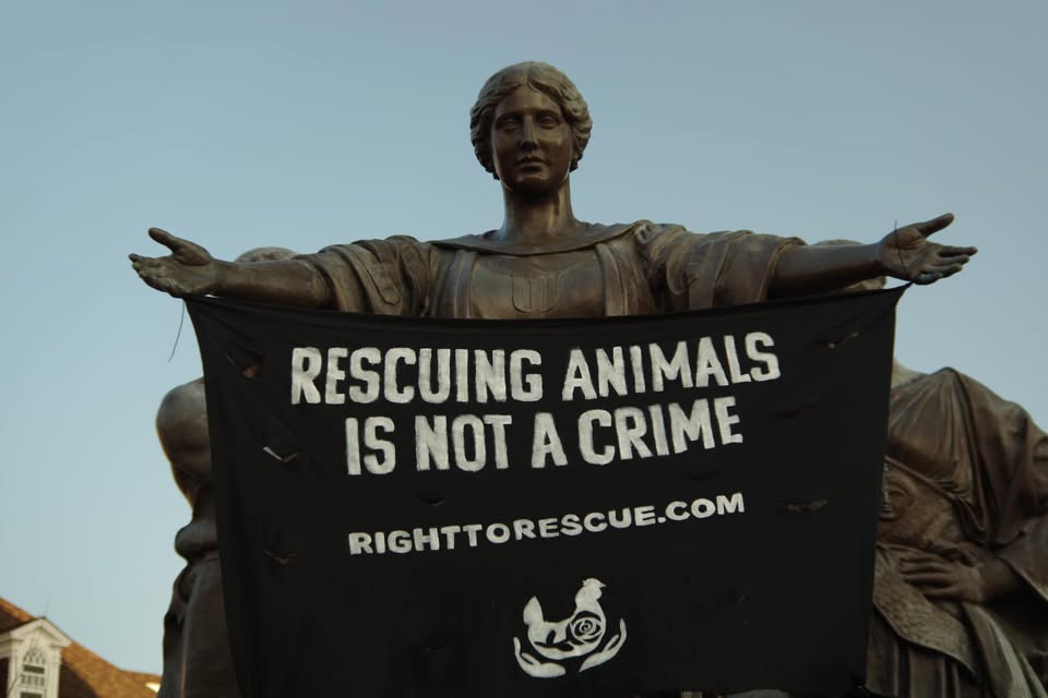 Direct Action Everywhere