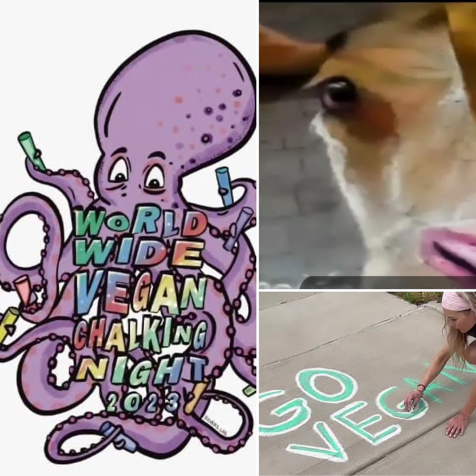Direct Action Everywhere