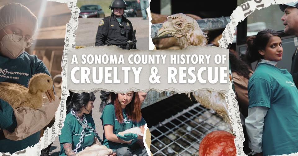 Direct Action Everywhere