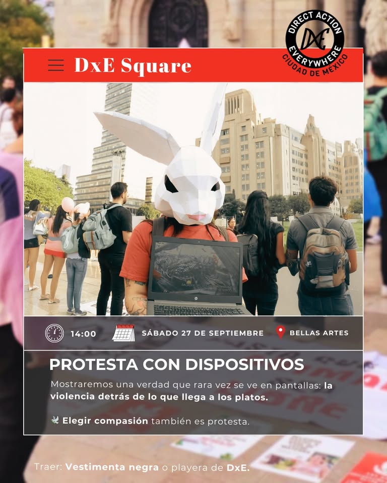 Direct Action Everywhere