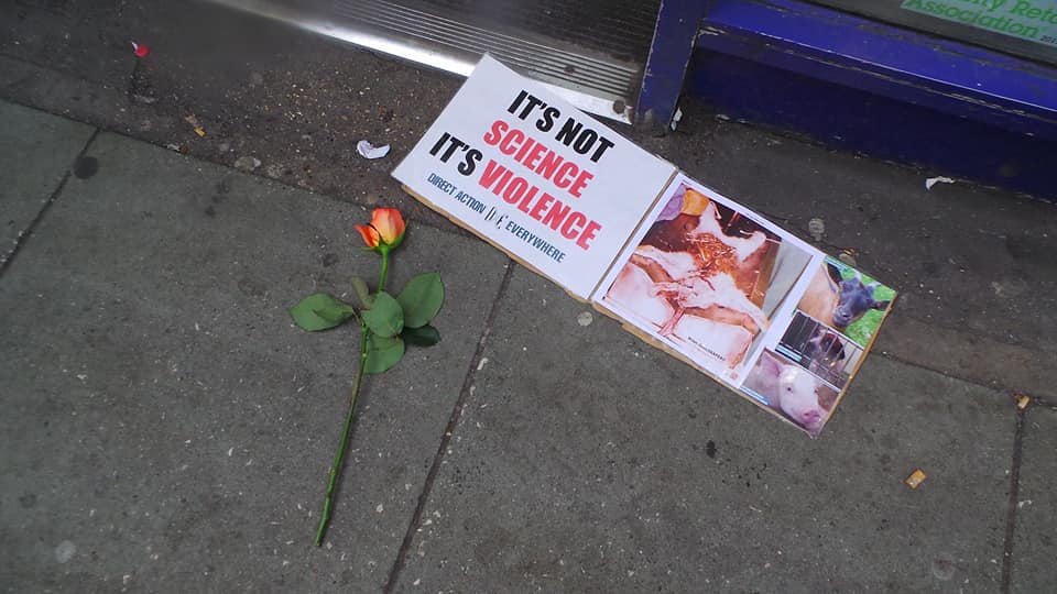 Direct Action Everywhere