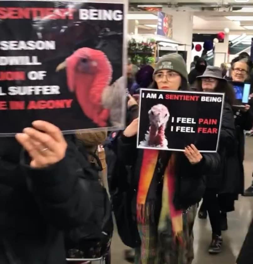 Direct Action Everywhere