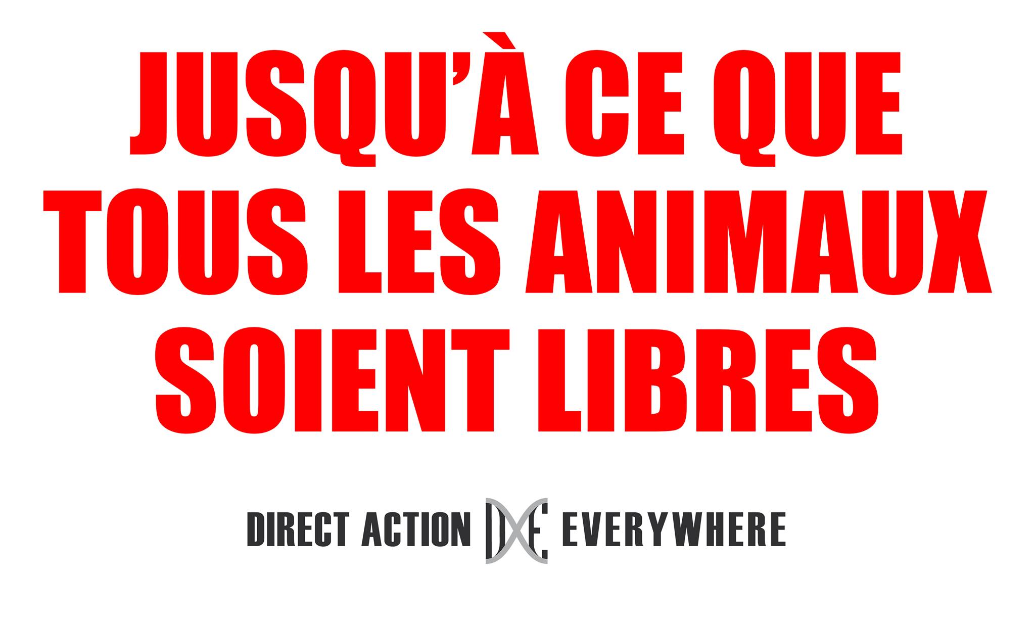 Direct Action Everywhere
