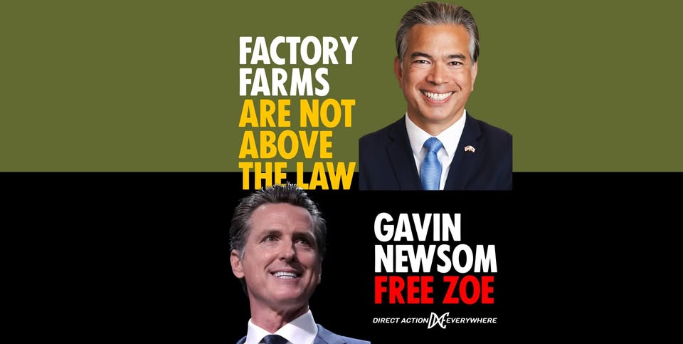 Direct Action Everywhere - DxE