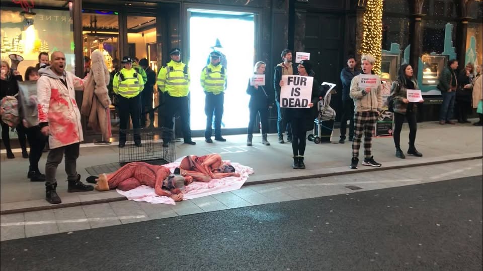 Direct Action Everywhere