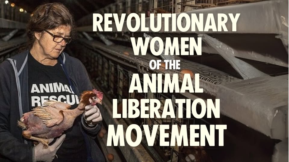 Direct Action Everywhere