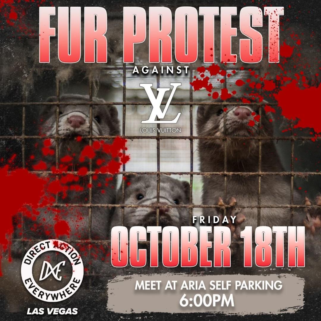 Direct Action Everywhere