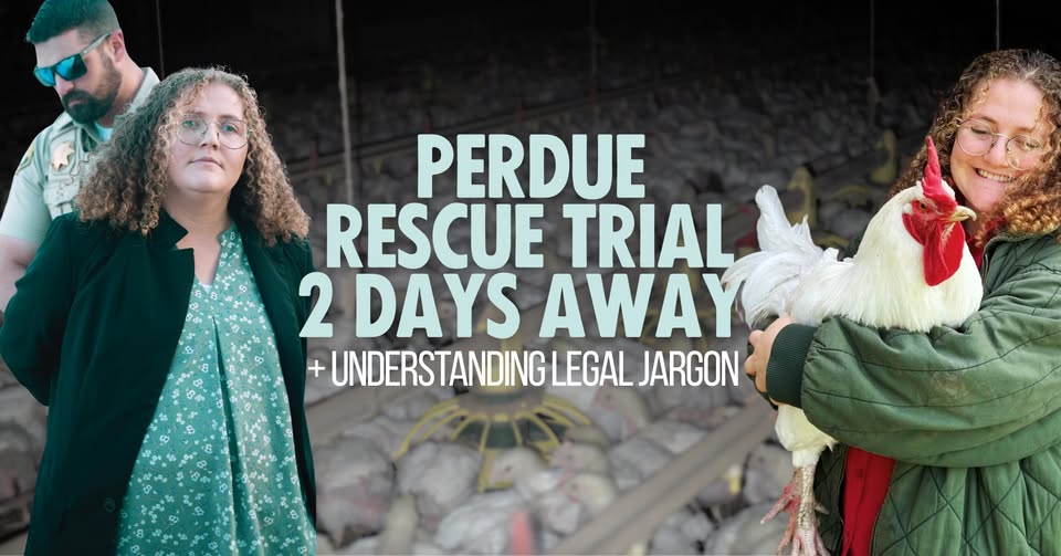 Direct Action Everywhere