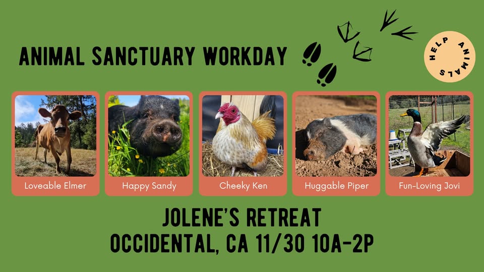 Direct Action Everywhere - DxE