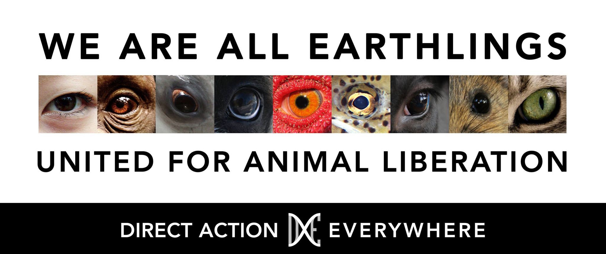 Direct Action Everywhere