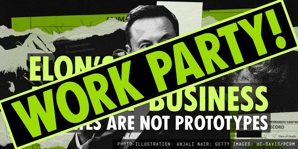 Direct Action Everywhere