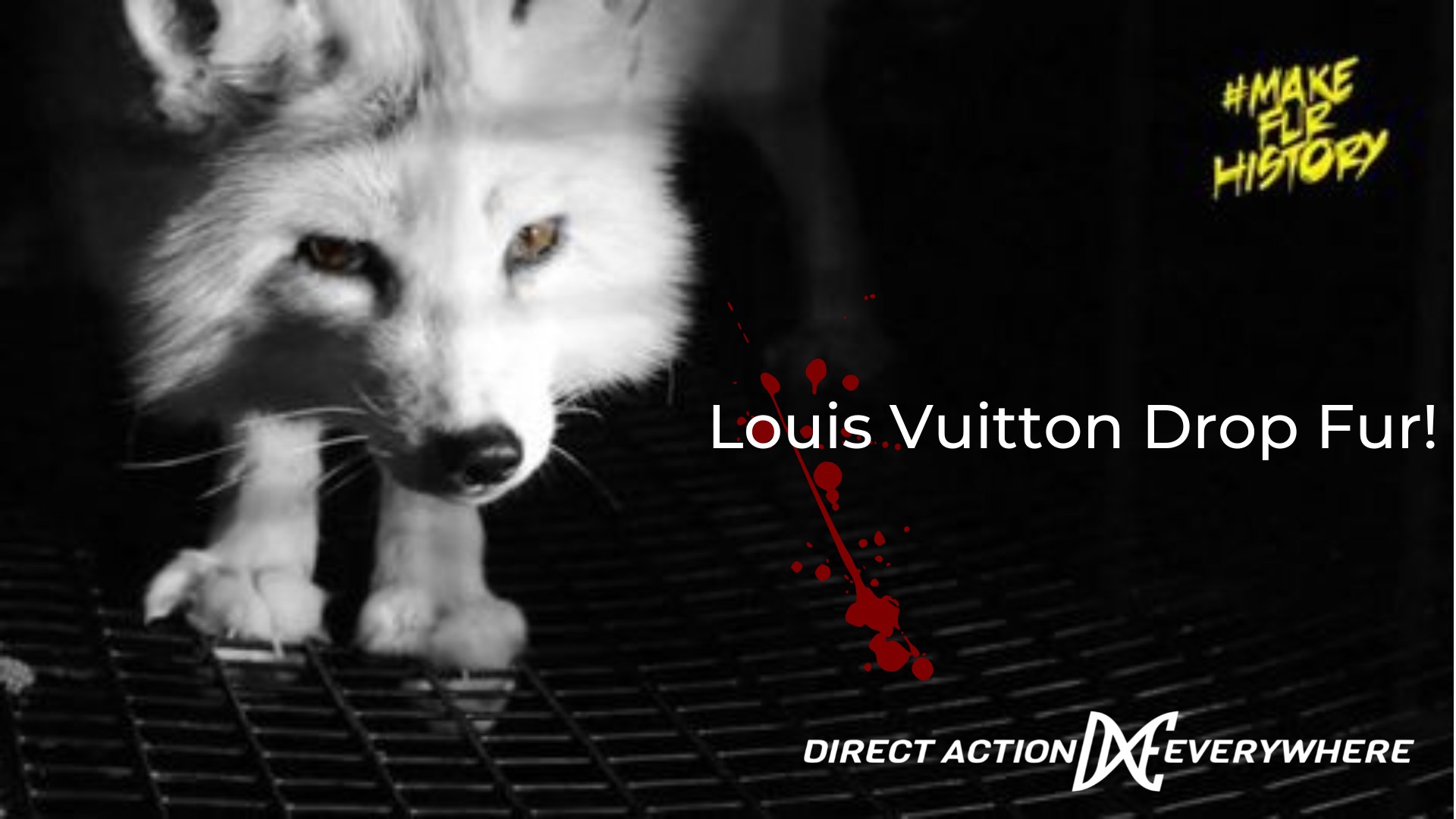 Direct Action Everywhere