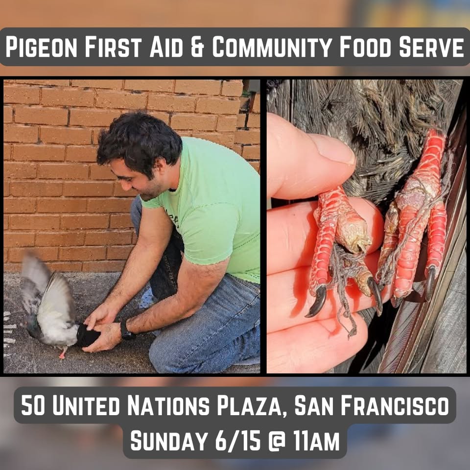 Direct Action Everywhere