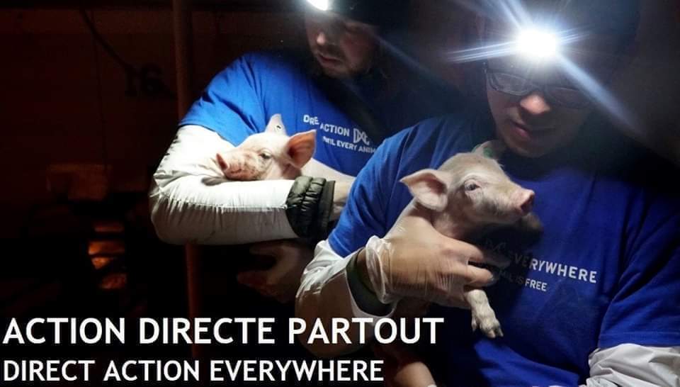 Direct Action Everywhere