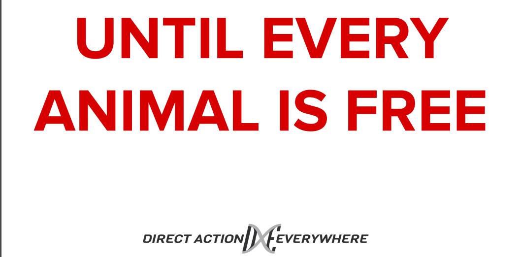 Direct Action Everywhere