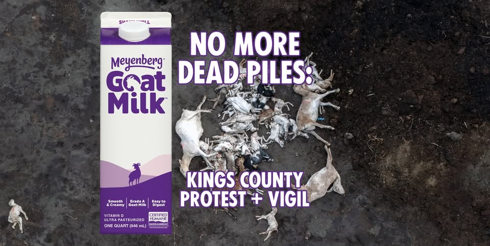 Direct Action Everywhere
