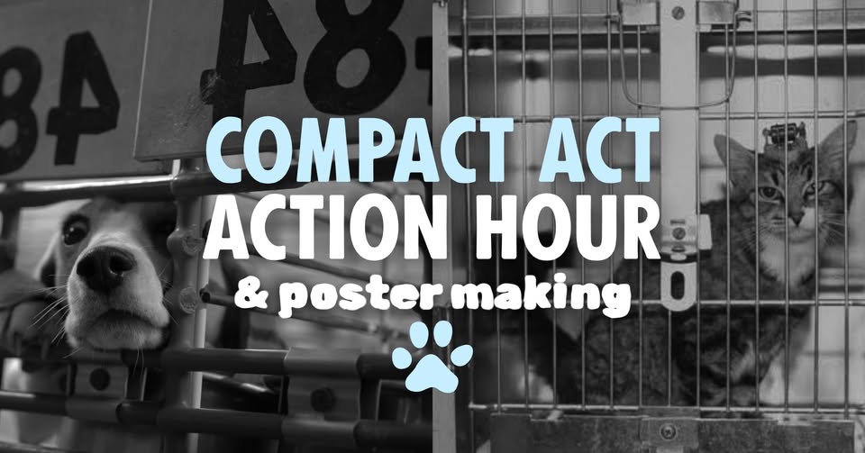 Direct Action Everywhere - DxE