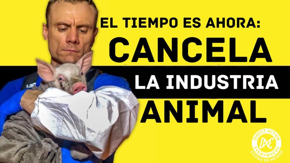 Direct Action Everywhere
