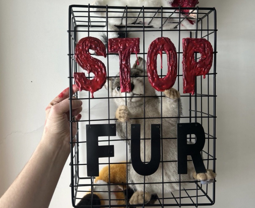 Direct Action Everywhere