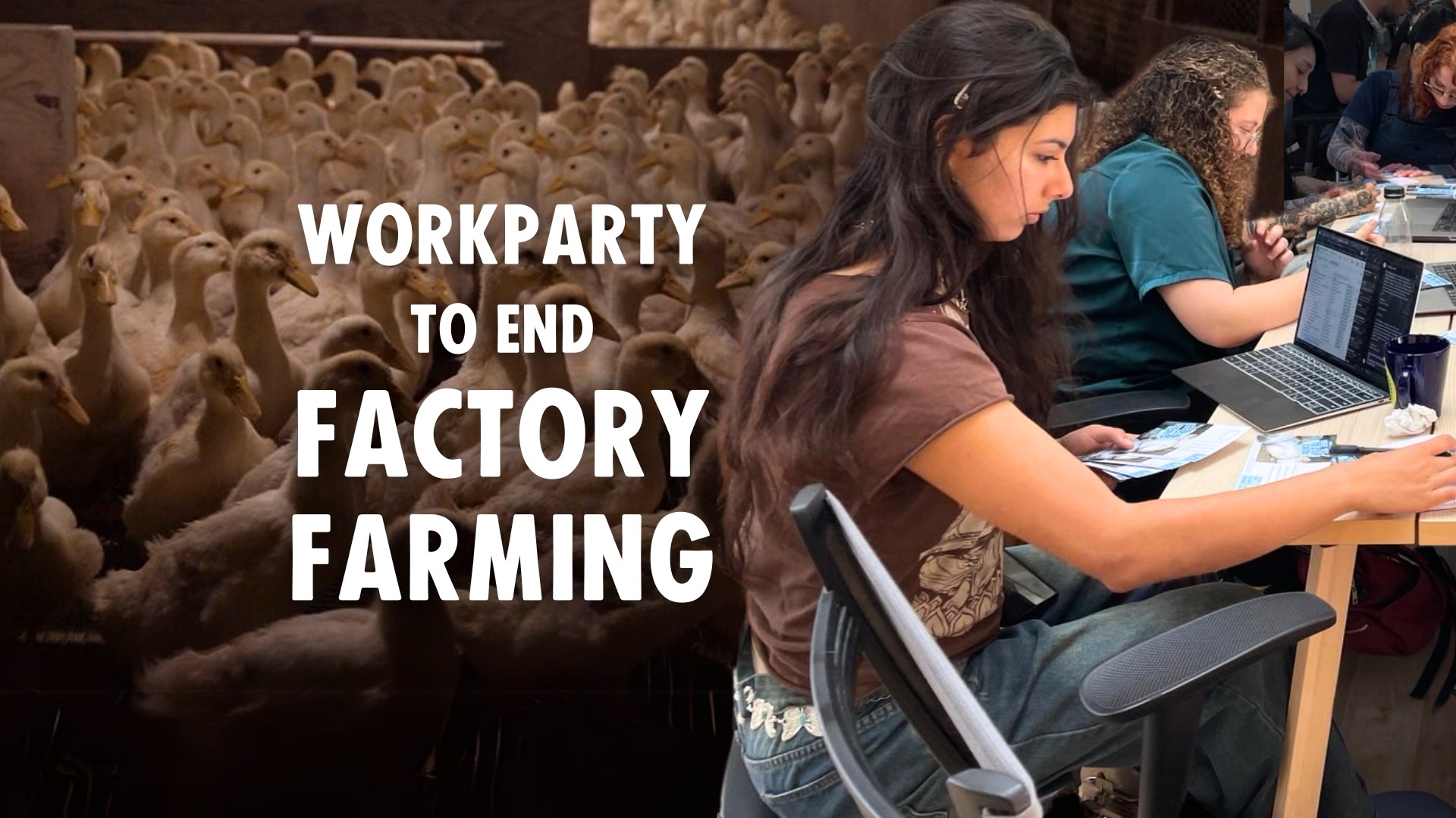 Direct Action Everywhere