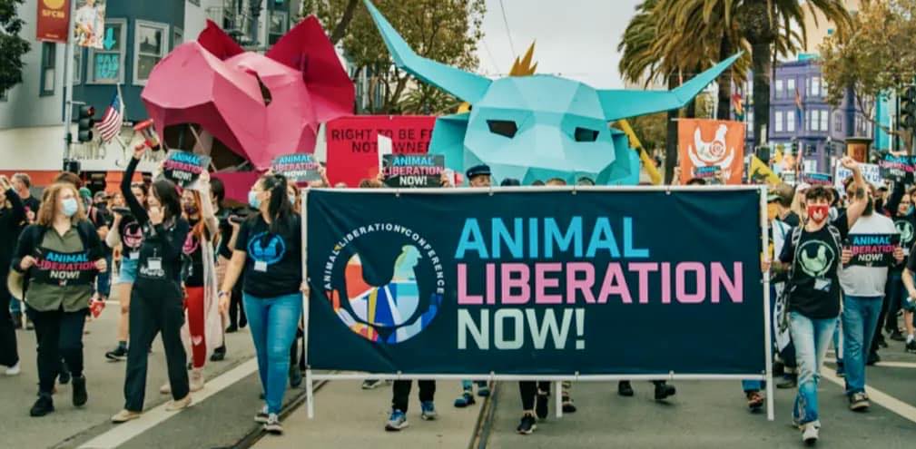 Direct Action Everywhere
