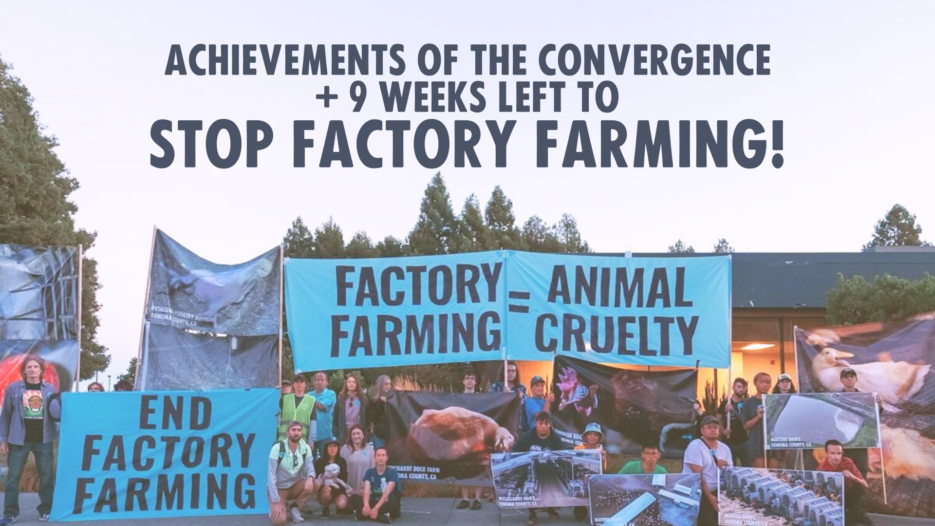 Direct Action Everywhere