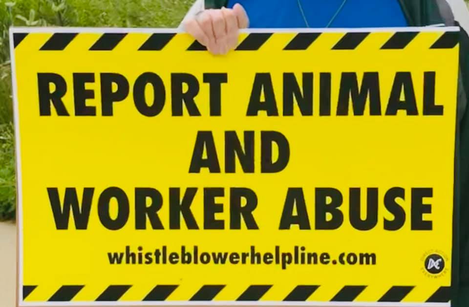 Direct Action Everywhere