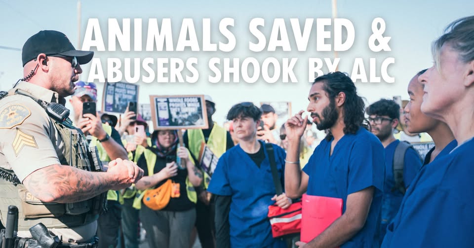 Direct Action Everywhere