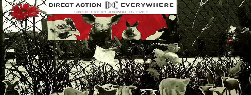 Direct Action Everywhere