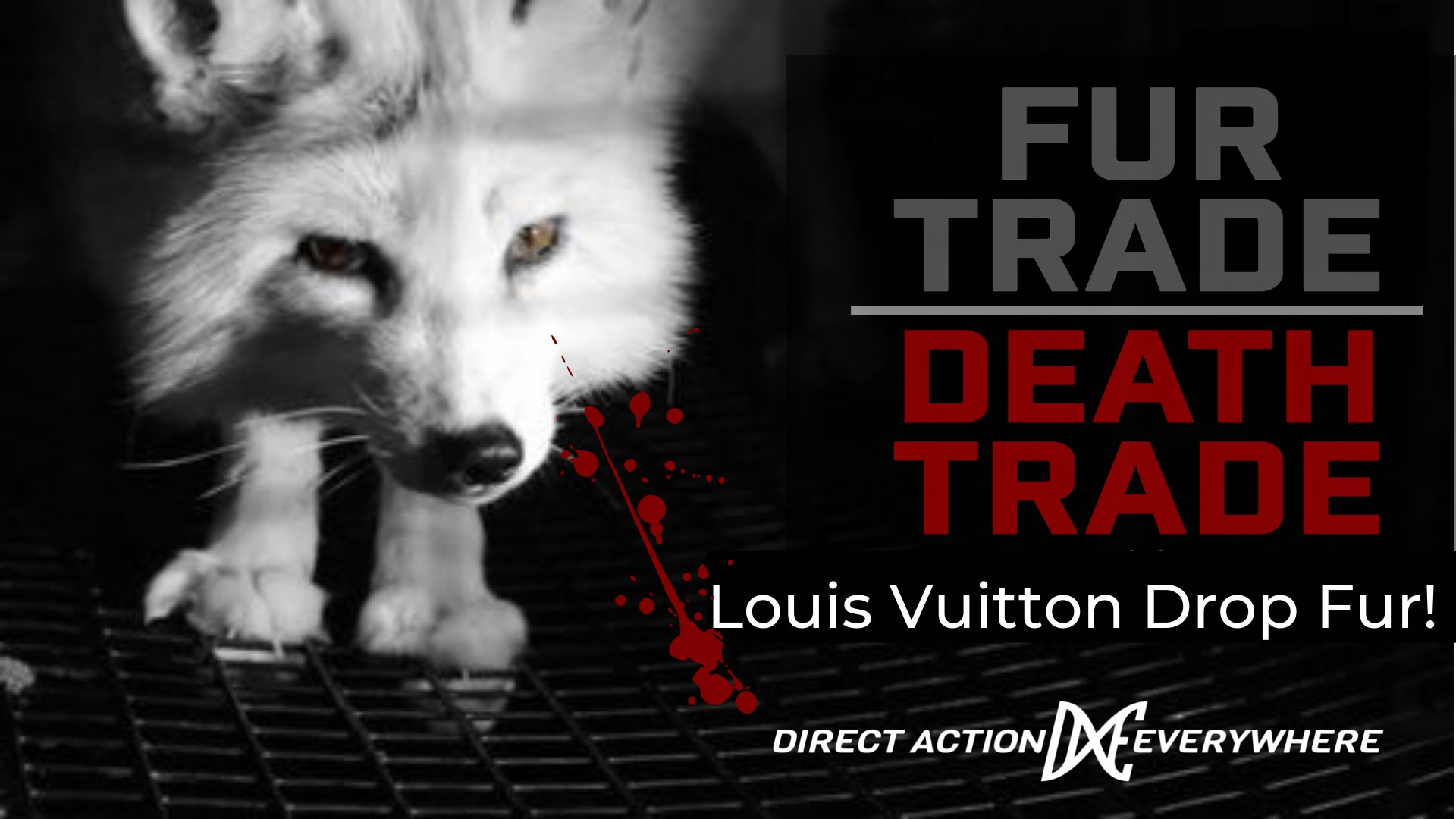 Direct Action Everywhere
