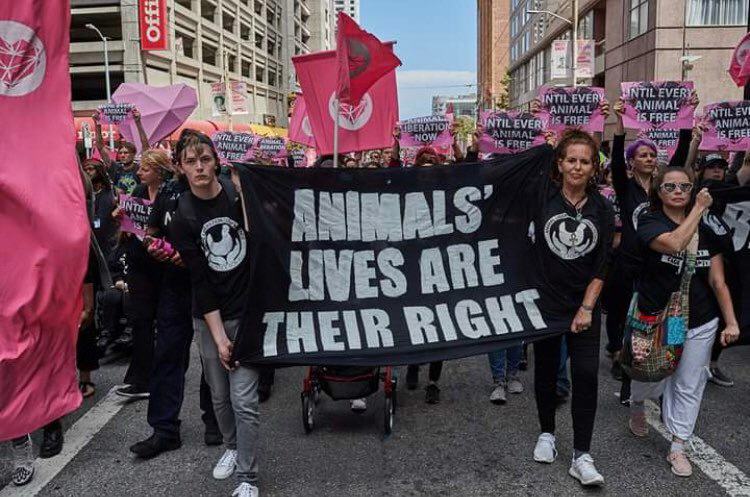 Direct Action Everywhere