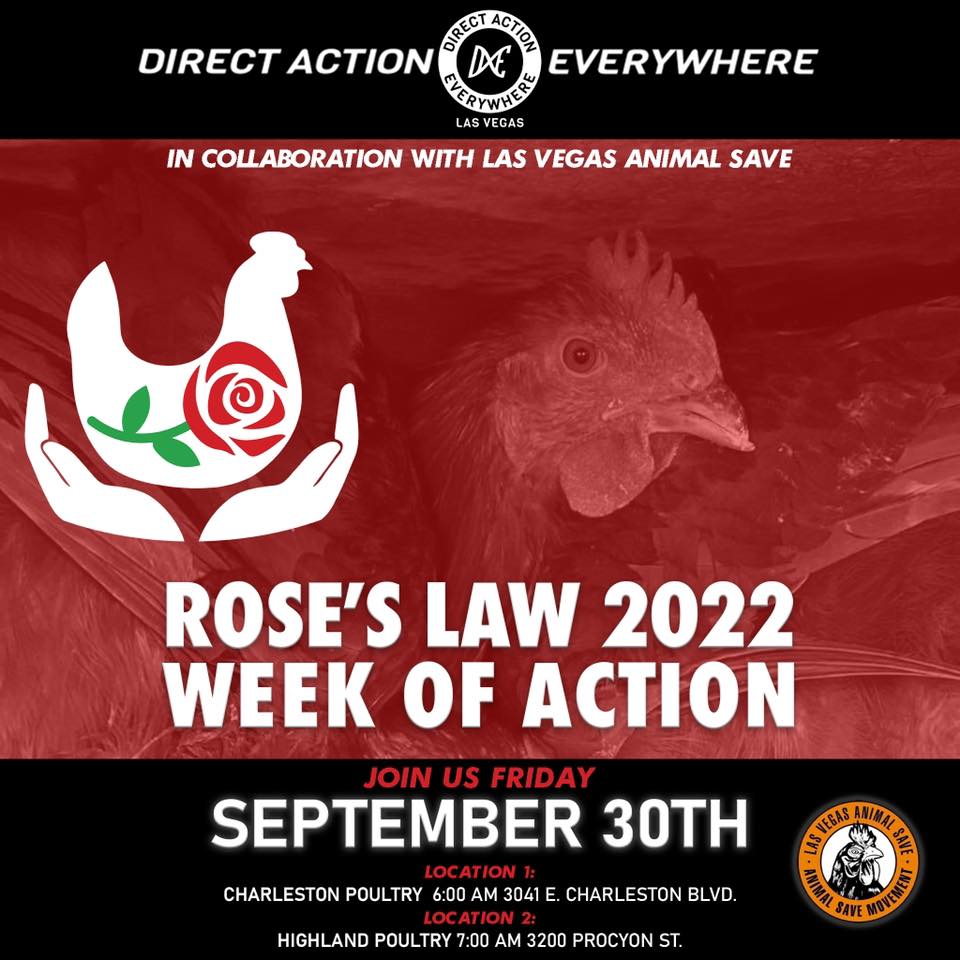 Direct Action Everywhere