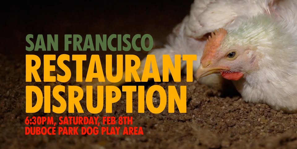 Direct Action Everywhere