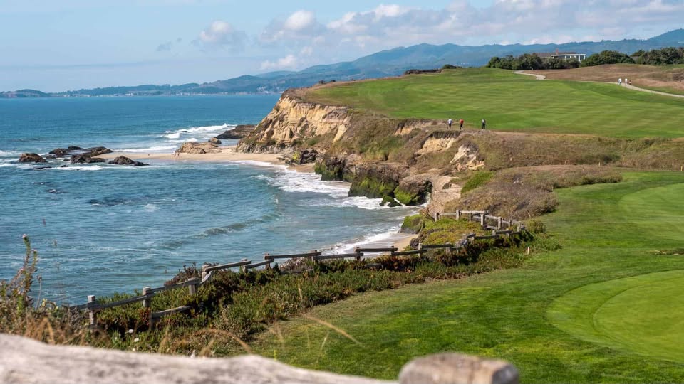 Direct Action Everywhere