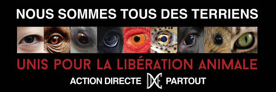 Direct Action Everywhere