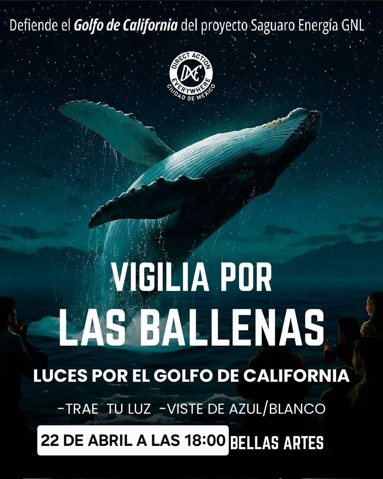 Direct Action Everywhere