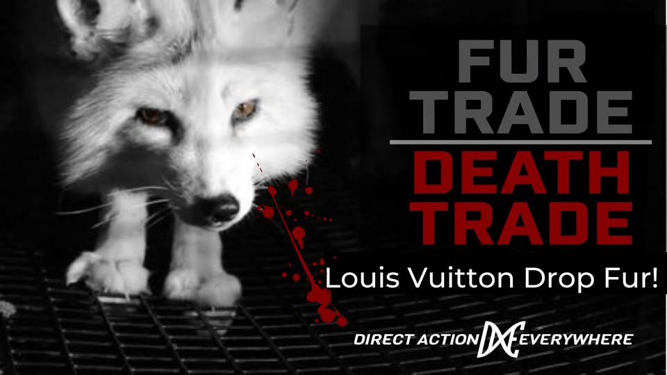 Direct Action Everywhere