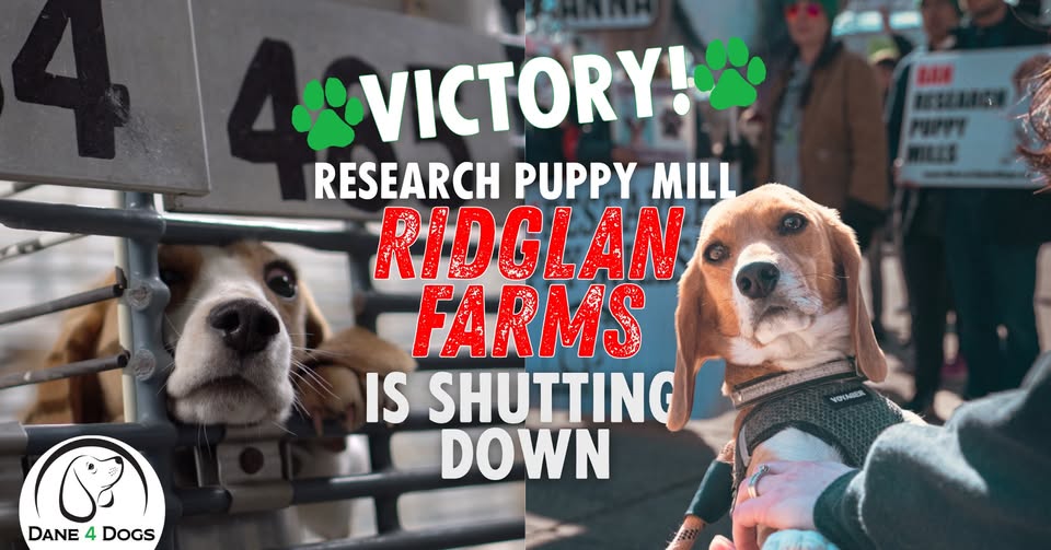 Direct Action Everywhere - DxE