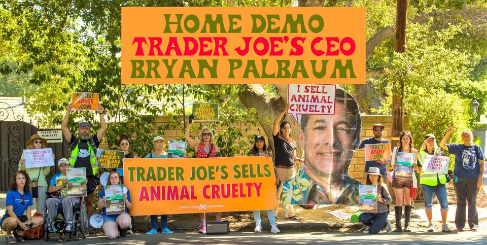 Direct Action Everywhere - DxE