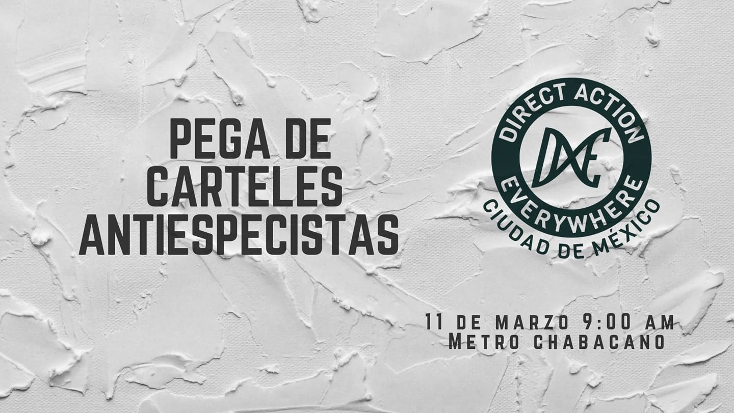 Direct Action Everywhere