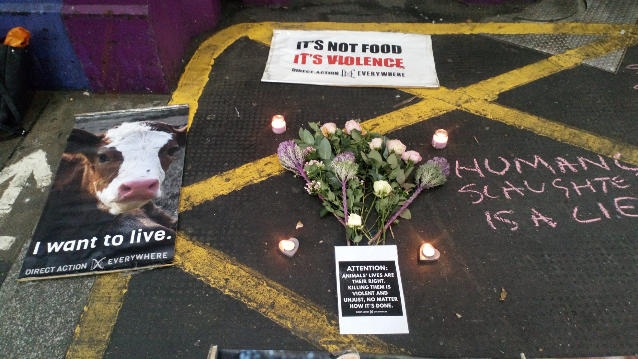 Direct Action Everywhere