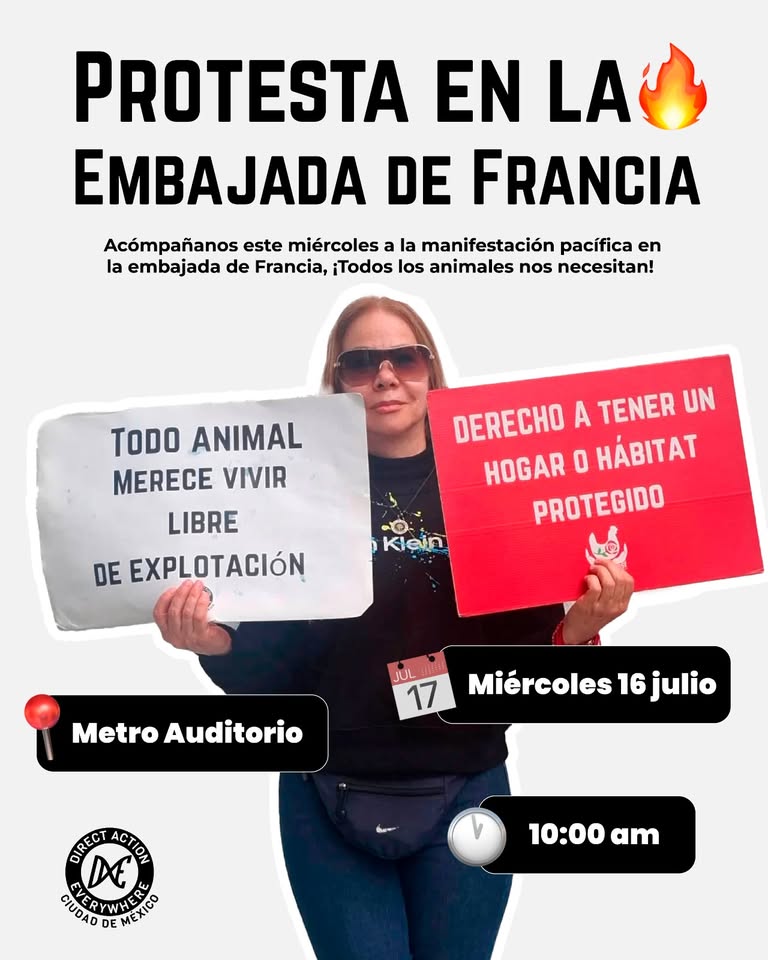 Direct Action Everywhere