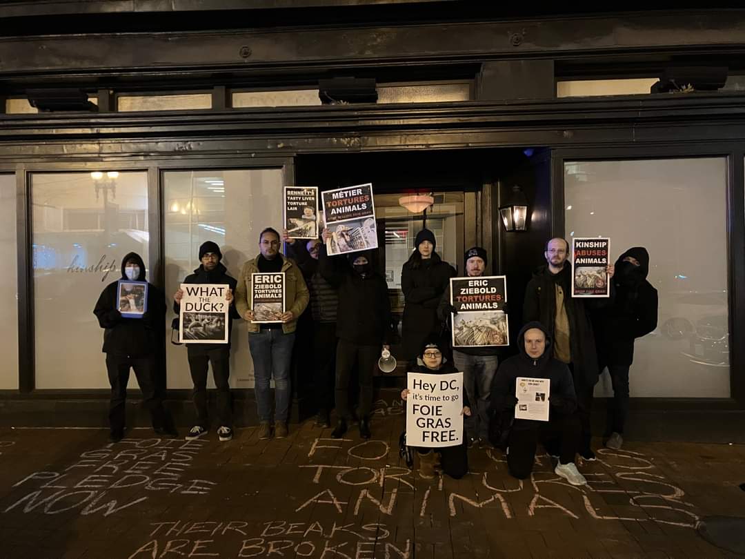 Direct Action Everywhere