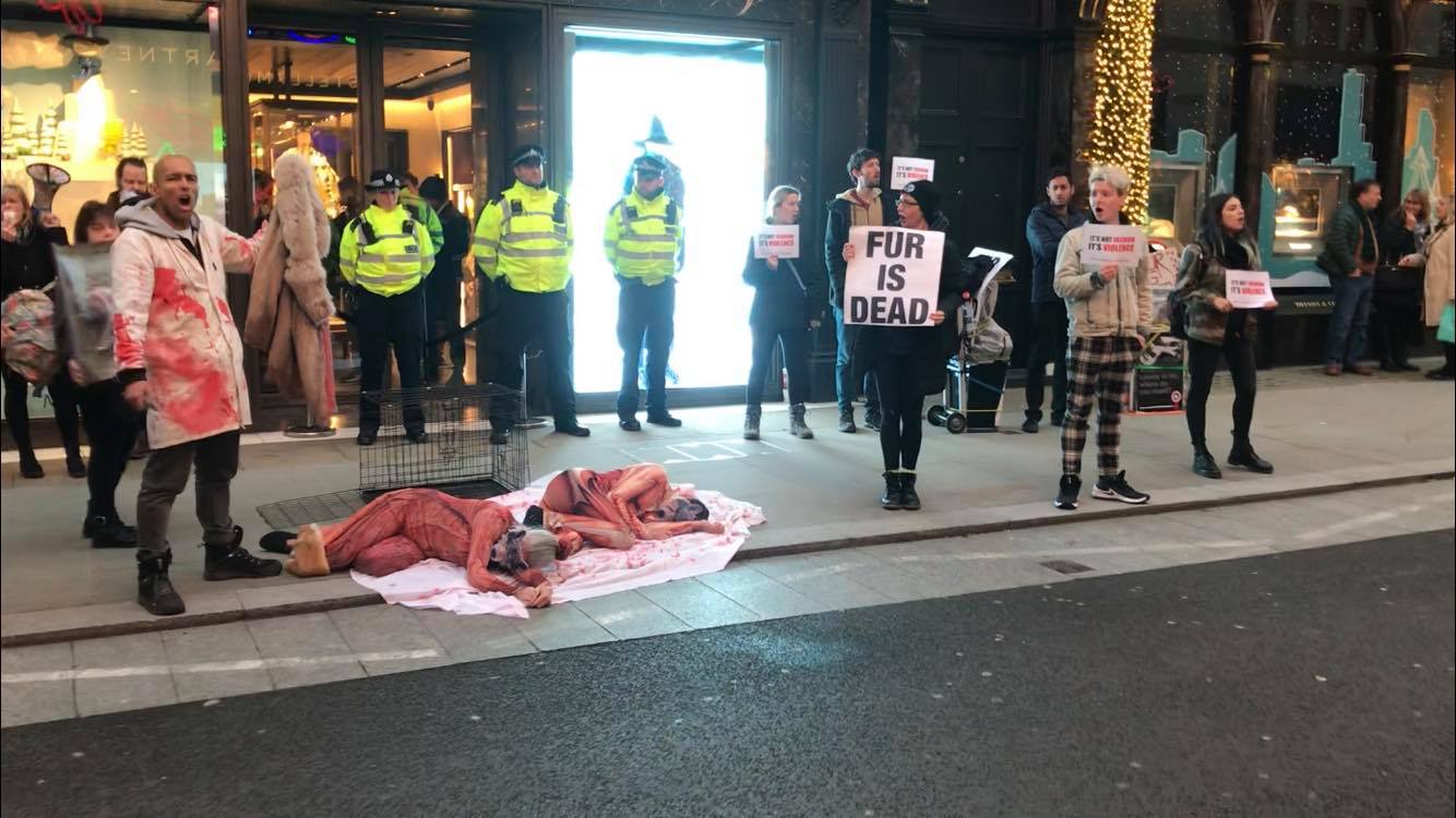 Direct Action Everywhere