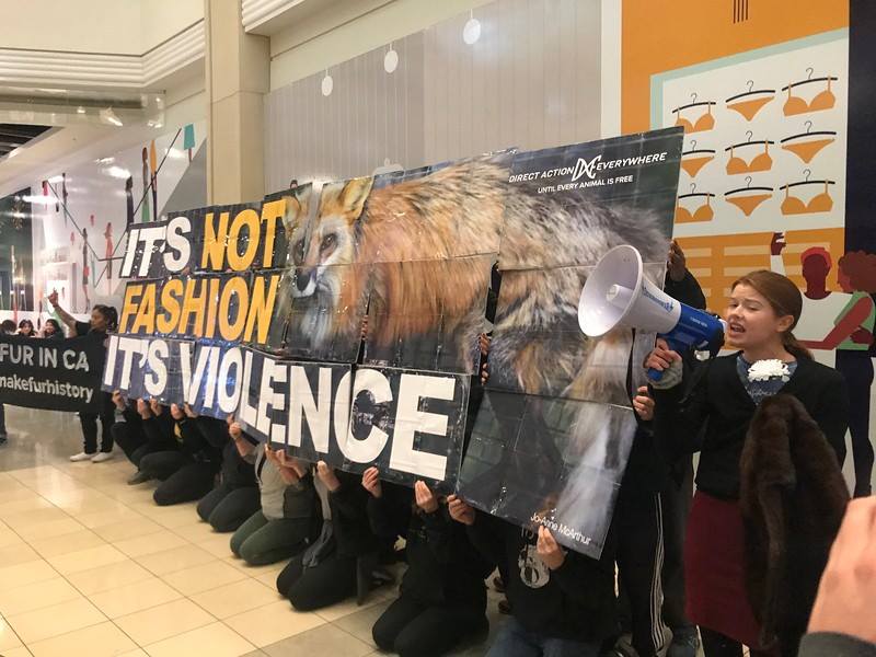 Direct Action Everywhere
