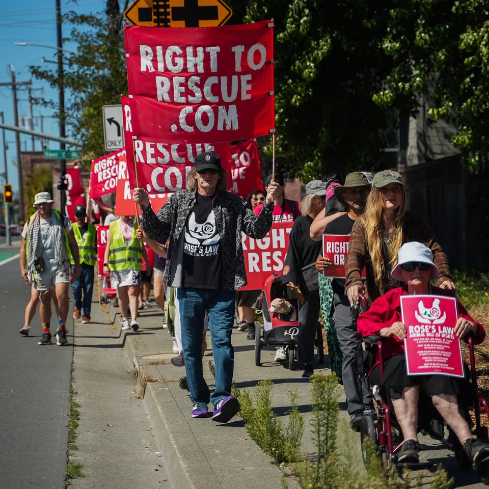 Direct Action Everywhere